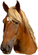 horse head 2.gif (187332 bytes)
