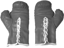 boxing gloves 4.gif (13325 bytes)